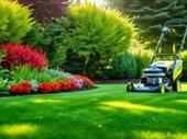 profitable established lawn care