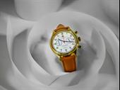 turnkey luxury watch business