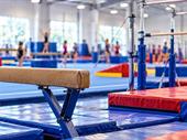 established gymnastics business 201k