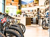 established trek dealer full-service