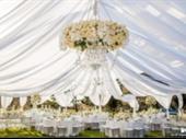 established event rental company