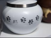 profitable pet cremation business