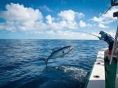 maui fishing charters boat