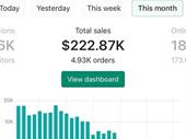 profitable e-commerce businesses at