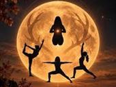 wellness yoga studio for