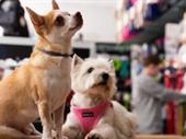 longstanding specialty pet retail