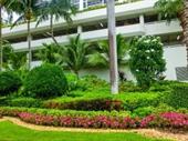 specialist commercial landscaping company
