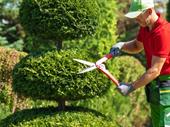 established commercial landscaping company