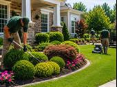 38-year landscaping property maintenance