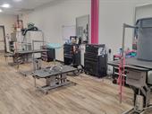 franchise dog grooming business