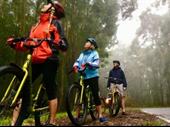 established kauai adventure tours