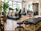 established kauai outpatient physical