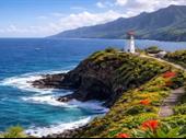 established kauai tour operator