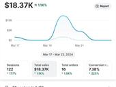 profitable e-commerce businesses at