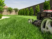 profitable well-established lawn care