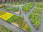 successful midwest garden center