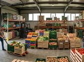 wholesale produce distributor with