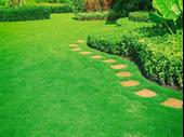established landscaping tree service