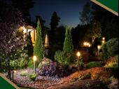 established high-end beachside landscape