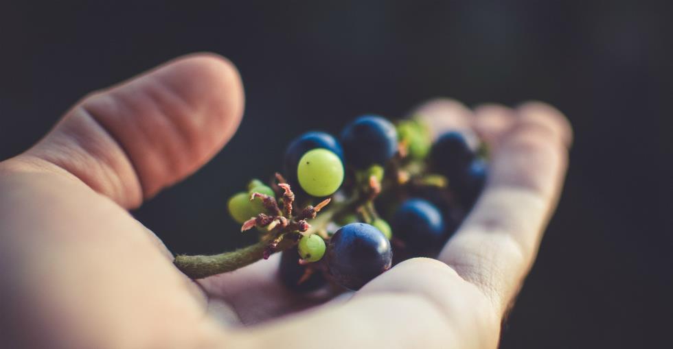 Organic or not How much organic food should your grocery store stock