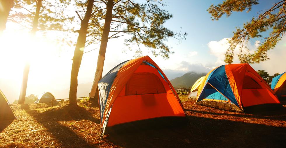 Campgrounds A recession-proof business?