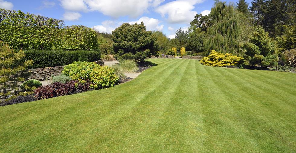 lawnmasterhero