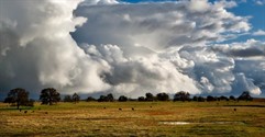 How to run a ranch that doesn't run you