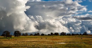 How to run a ranch that doesn't run you