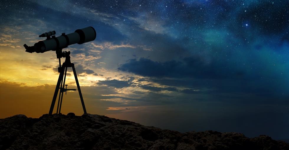 what to look for due diligence