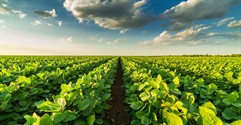 How To Sell an Agricultural Supply Business