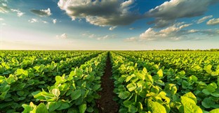 How To Sell an Agricultural Supply Business