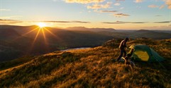 What You Need to Know About Campground Franchises