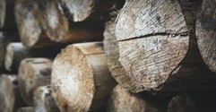 How to Run a Sawmill Business in the USA