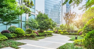 How to Start a Profitable Landscaping Business in the United States